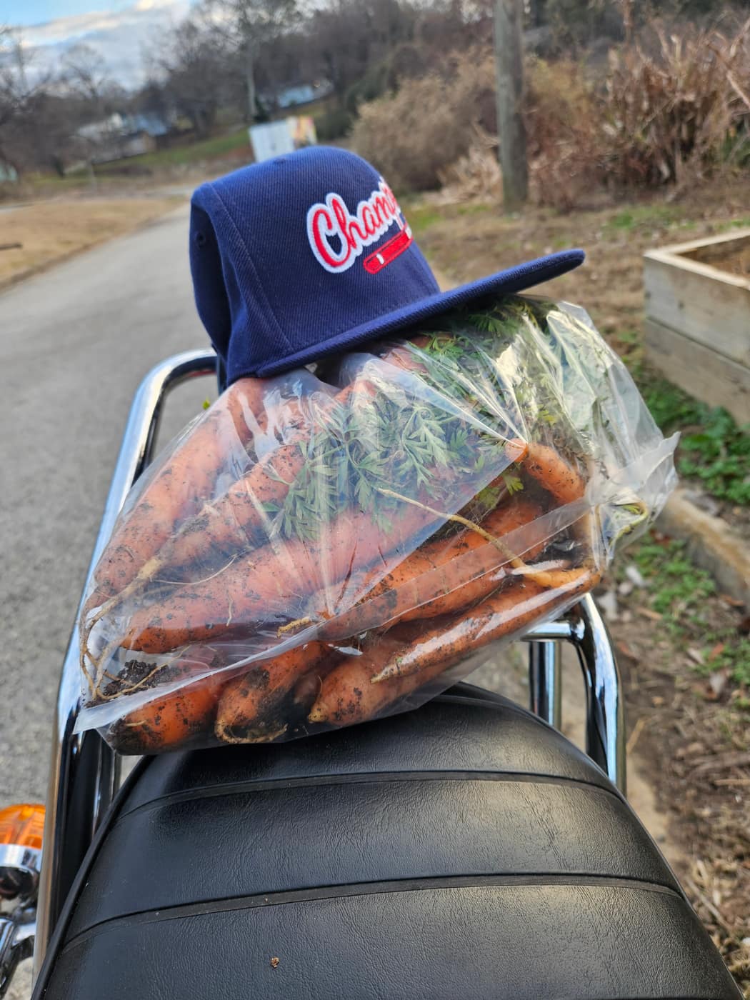 A bag of carrots strapped to the back seat of a motorcycle under a ball cap